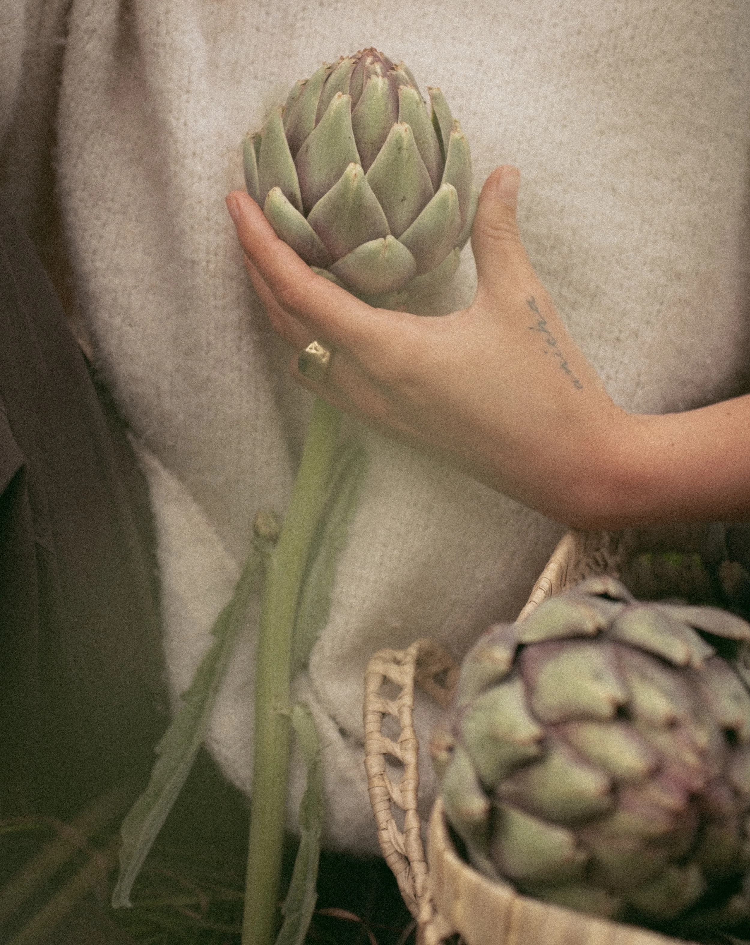 Fresh harvest produce